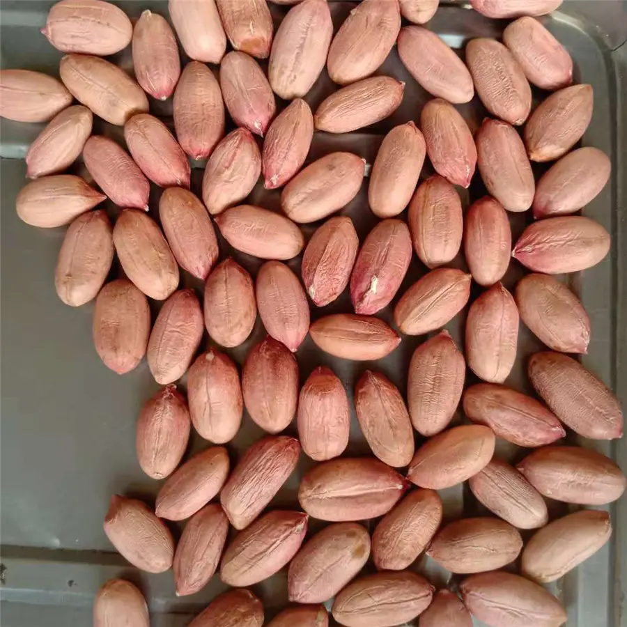 Peanut Kernels (5).jpg