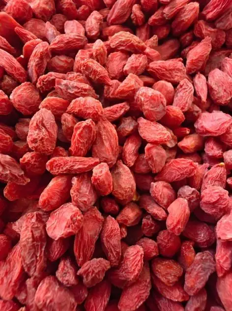 Goji berries-2.png