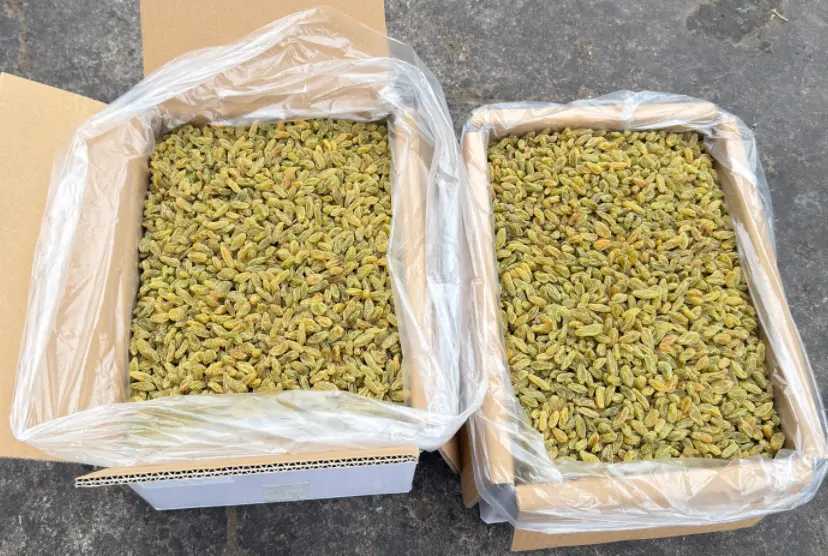 China's raisin exports surge more than 200%!