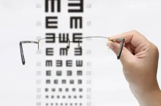 Sunflower Seeds 3.png