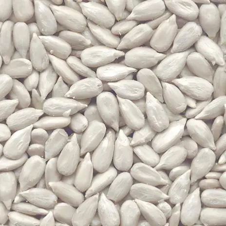 Sunflower Seed Kernels Bakery Grade (3).jpg