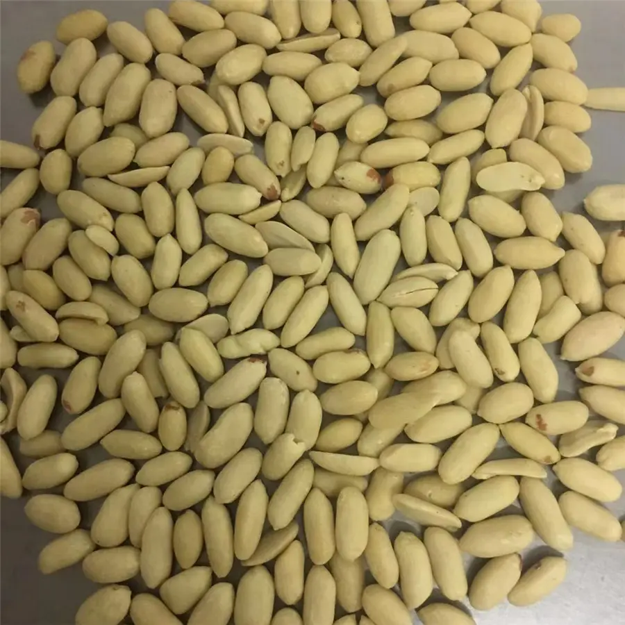 Peanut Kernels (1).jpg