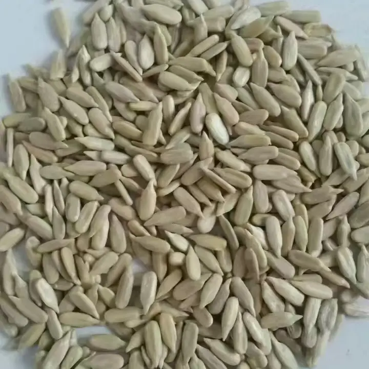 1.Sunflower Seed Kernels Confectionary Grade (6).jpg