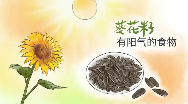 Sunflower seeds(1).png