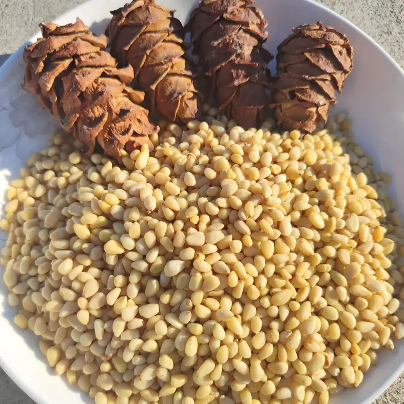 Pine Nut Kernels (2).jpg