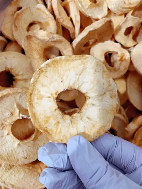 Dried Apples (5).png