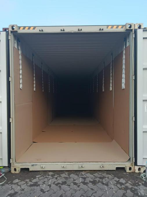 sunflower seeds(2).png