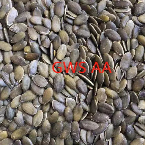 Pumpkin Seed Kernels GWS (4).jpg
