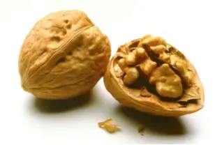 walnuts (2).png