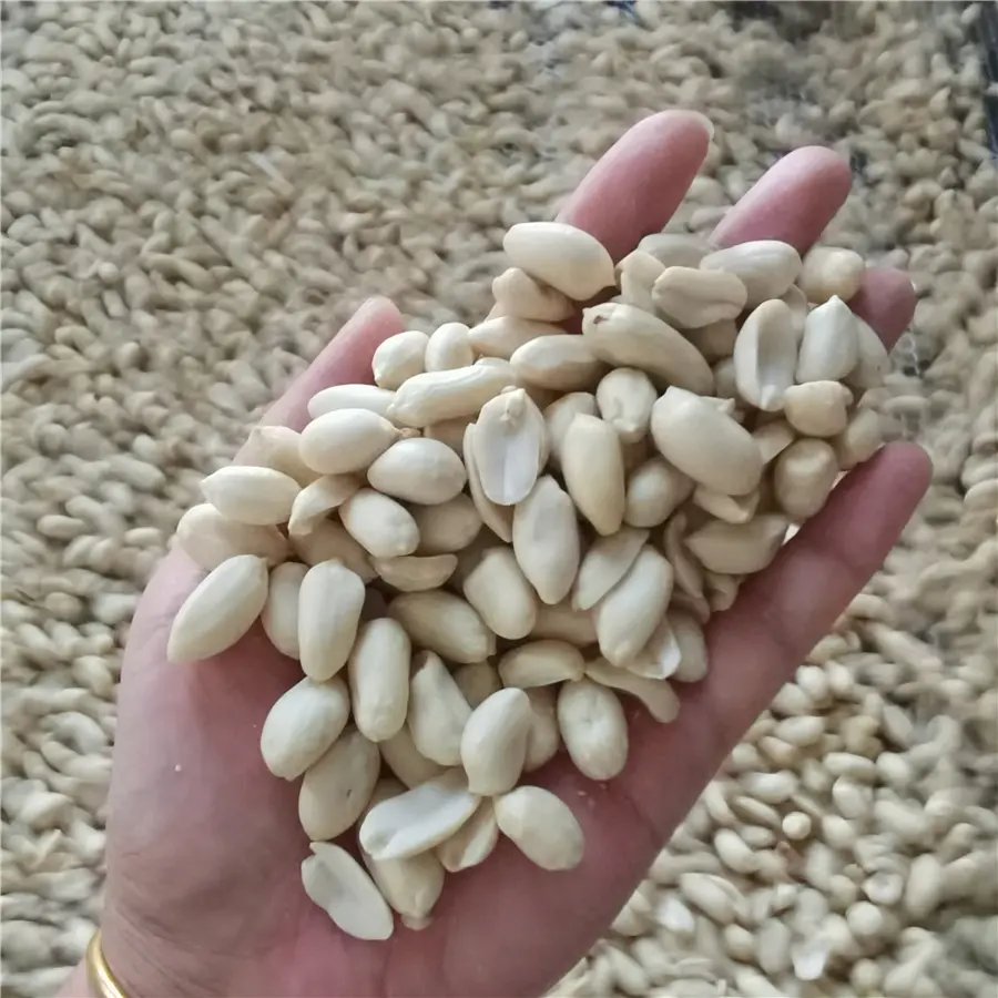 Peanut Kernels (4).jpg