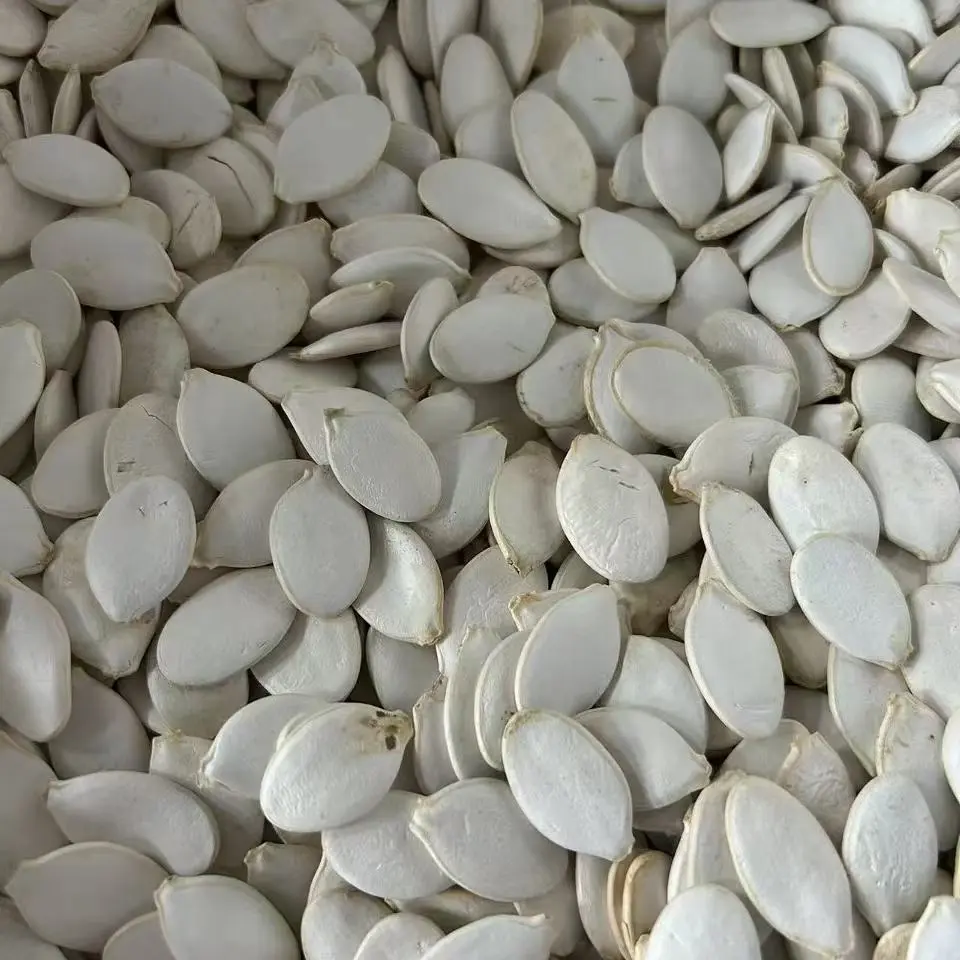 Pumpkin Seeds Snow White in Shell (5).jpg