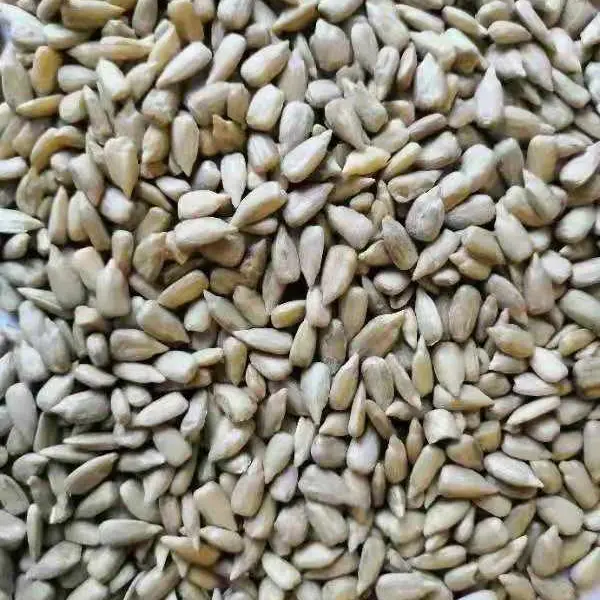 Sunflower Seed Kernels Bakery Grade (1).jpg