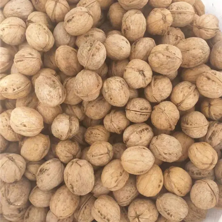 Walnuts in Shell (1).jpg