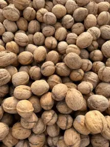 walnuts.png