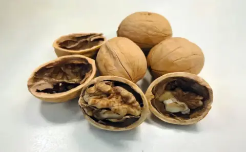 walnuts5.png