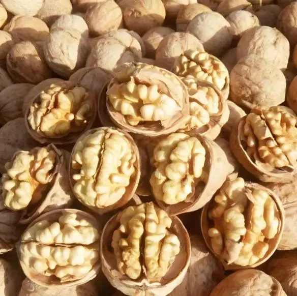 Walnuts-2.jpg
