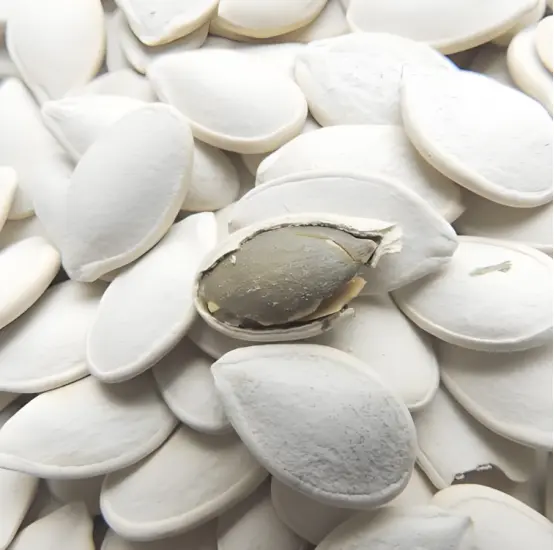 Large white pumpkin seeds-2.png